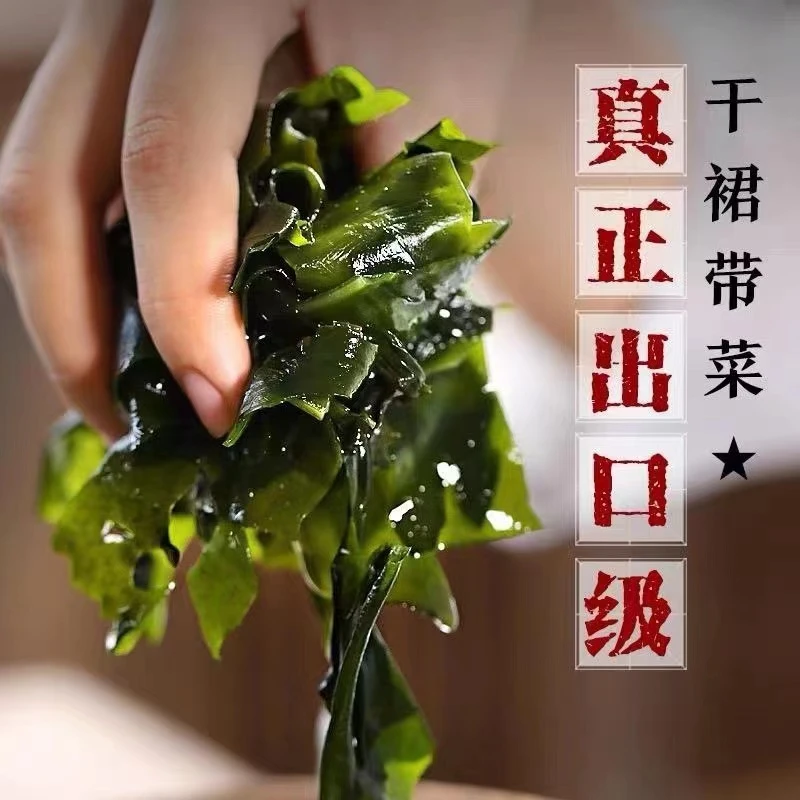 【粉丝福利】裙带菜高泡20克/包*10包送贝壳小老鼠+千手螺+海螺哨