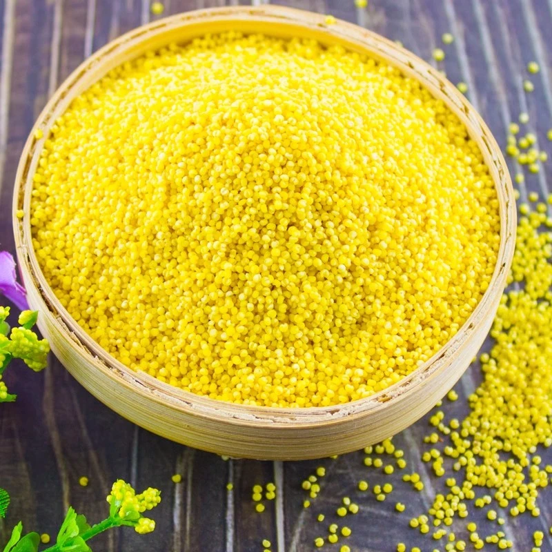 【张小妹】云南现收 农家小米 农产品 1000g起