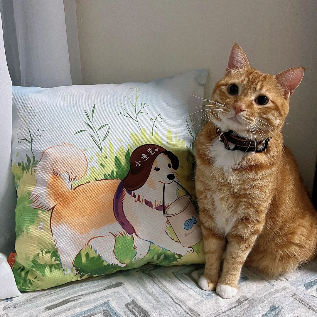 【贝拉家】定制抱枕粉丝专用45*45