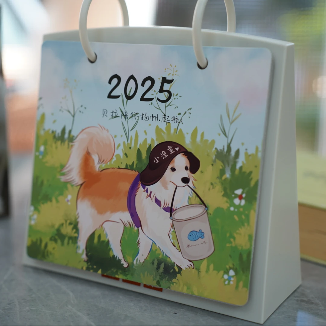 【贝拉家】陈贝拉 2025年台历