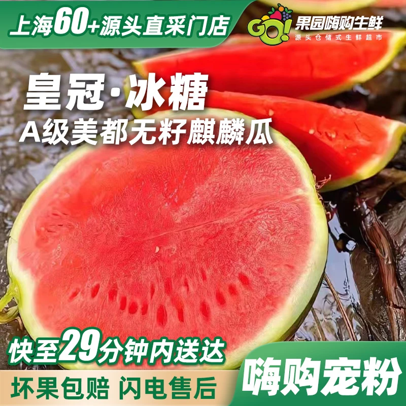整个礼品级】（半小时达）美都皇冠无籽（微白籽）麒麟西瓜7-8斤