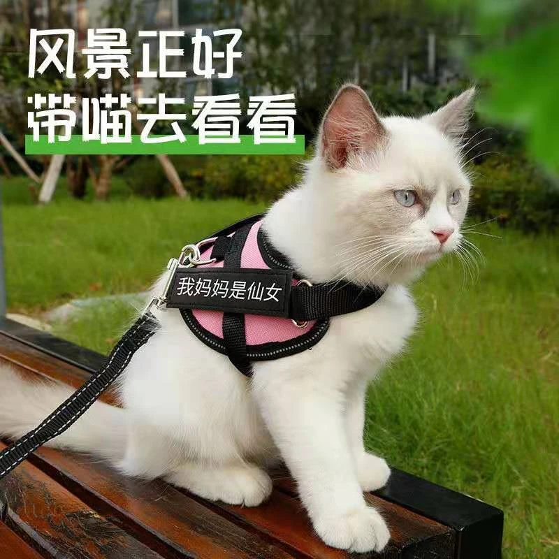 宠物牵引绳背心式胸背带外出猫咪专用防挣脱溜猫绳子栓猫链子