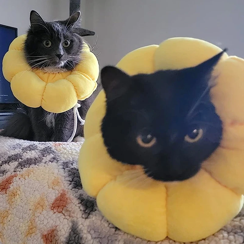 太阳花伊丽莎白圈 猫咪宠物枕头护颈脖圈狗项圈防舔头套g
