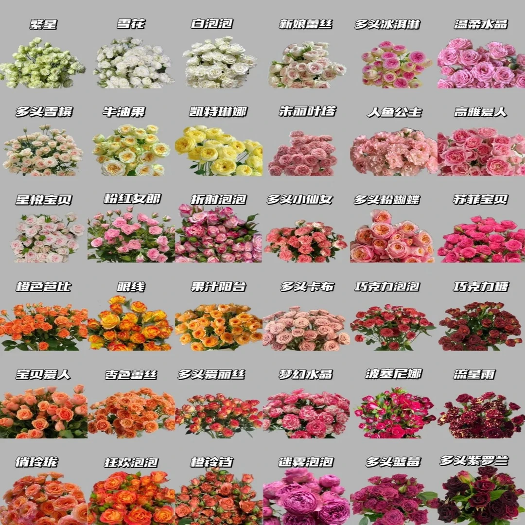 随机多头泡泡云南基地直发家居办公室节日礼物鲜切花插花