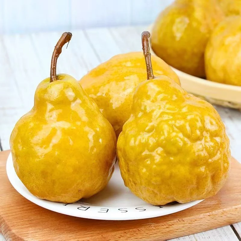 （顺丰快递）中华丑梨软糯多汁烟台太婆梨子水果新鲜当季啤梨软梨