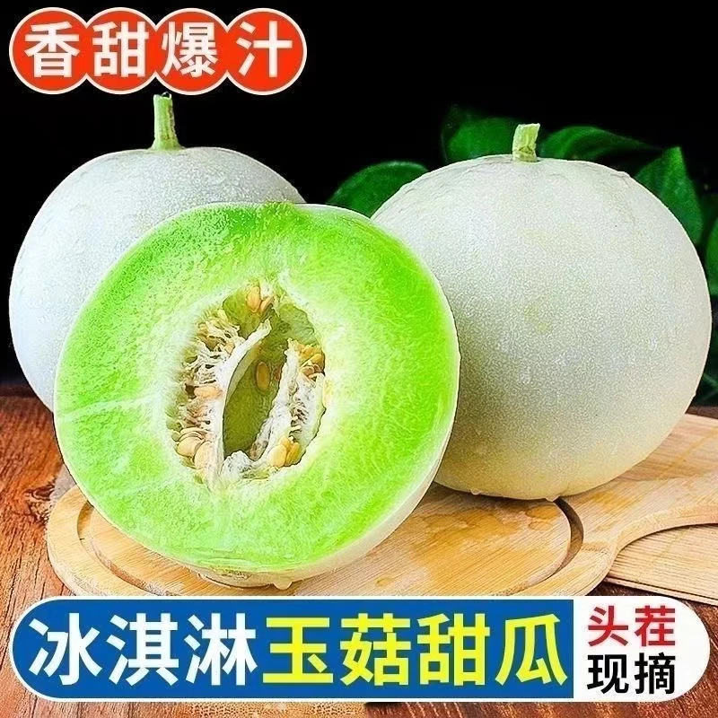山东新鲜玉菇甜瓜蜜新鲜水果薄皮甜香当季现摘现发