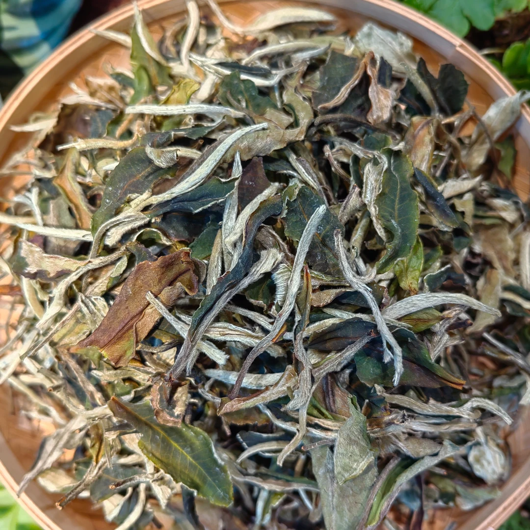 月光白白茶  散茶