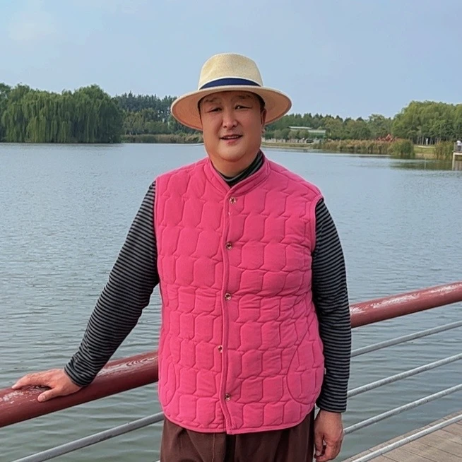 大码马甲妈妈保暖抗风无袖外套外穿立领冬季老年加厚宽松潮流气质