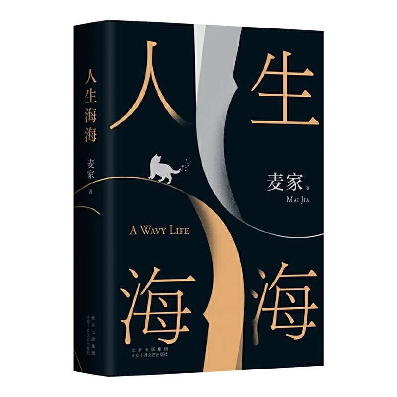 人生海海 麦家经典代表作，入选《人民日报》书单，发行量超300万