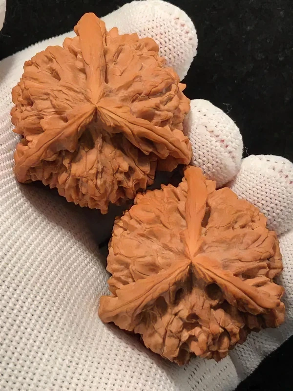 文玩核桃四座楼苹果园狮子头核桃专拍链接（请以直播间展示为准