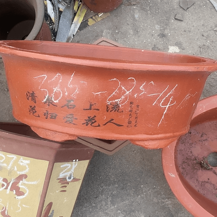紫砂20CM（含）-50CM（不含）