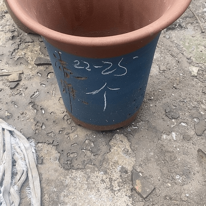 紫砂20CM（含）-50CM（不含）