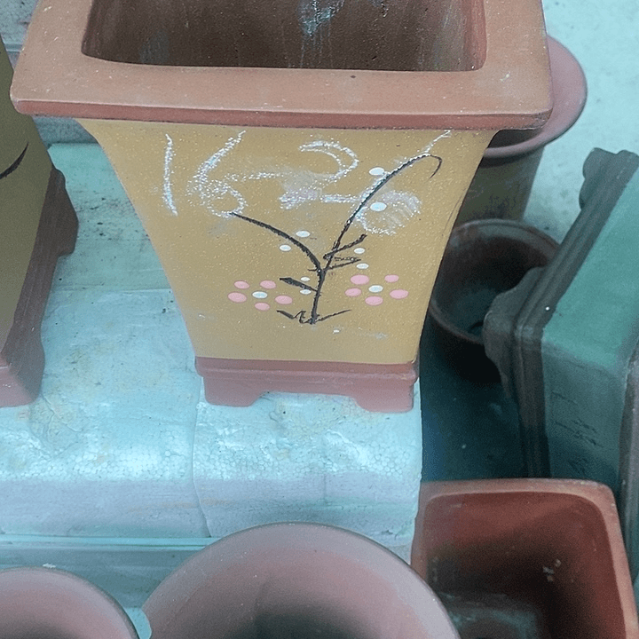 紫砂20CM（含）-50CM（不含）
