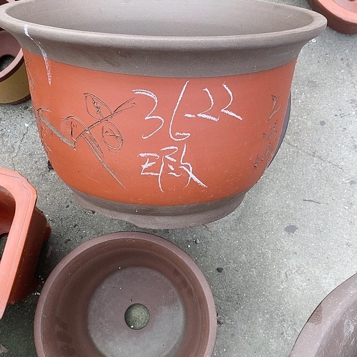 紫砂20CM(含)-50CM(不含)