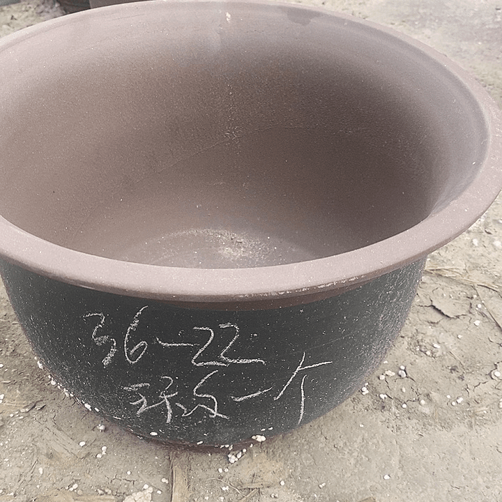 紫砂20CM（含）-50CM（不含）