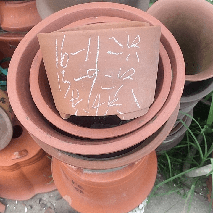 紫砂20CM（含）-50CM（不含）