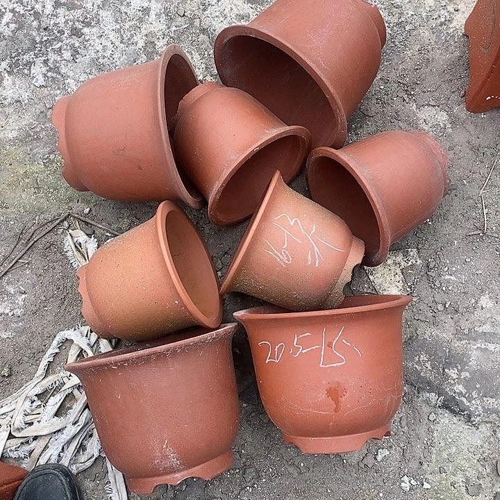 紫砂20CM（含）-50CM（不含）