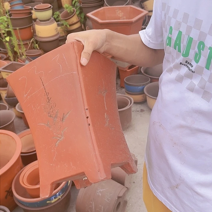 红陶20CM（含）-50CM（不含）