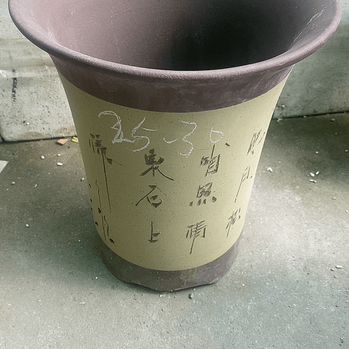 紫砂20CM（含）-50CM（不含）