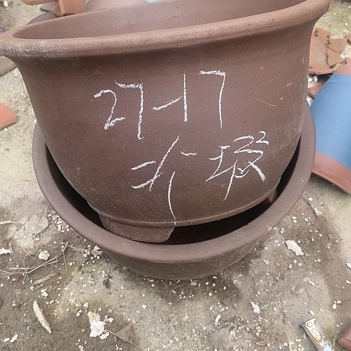 紫砂20CM（含）-50CM（不含）