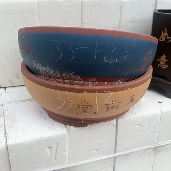 红陶300CM及以上