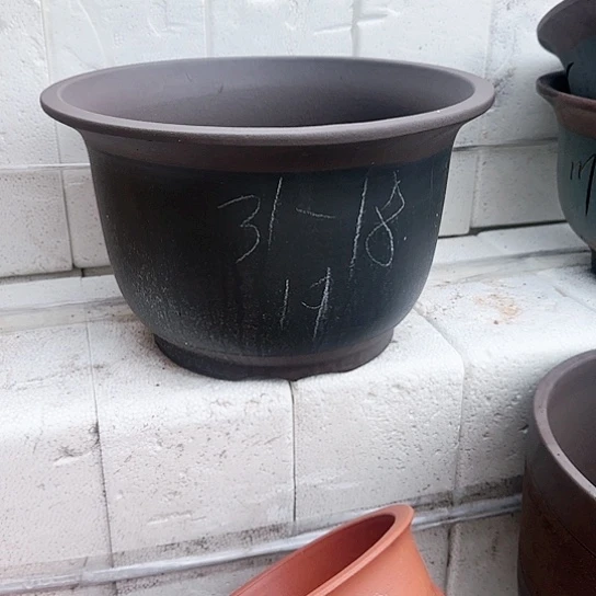 红陶300CM及以上22号