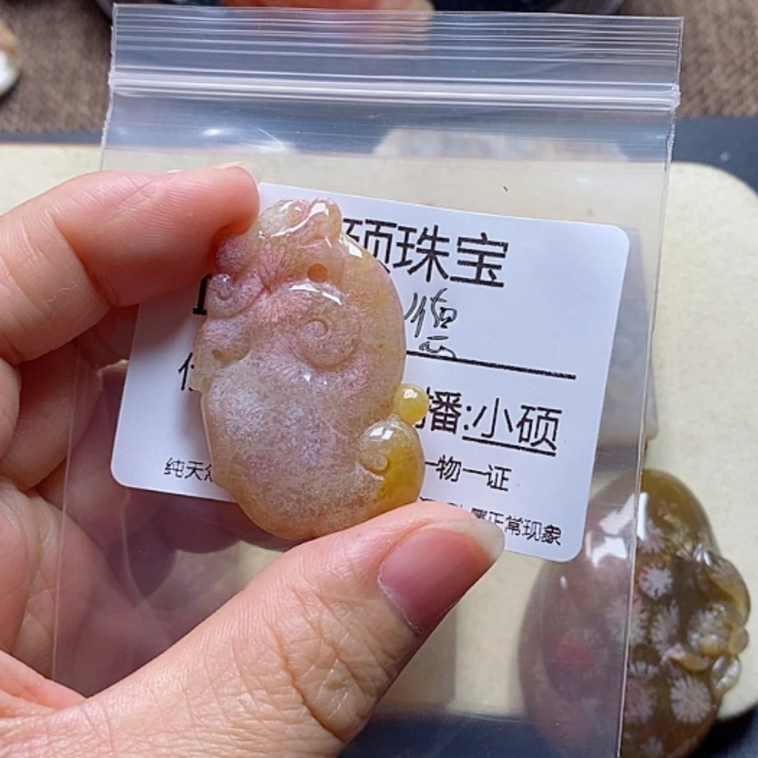 【闪购商品】硅化珊瑚（珊瑚玉）颈饰未镶嵌见*