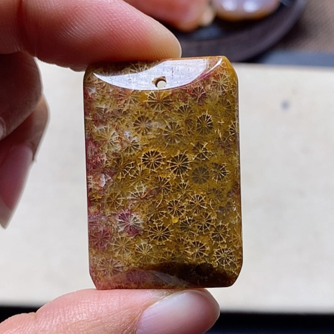 【闪购商品】硅化珊瑚（珊瑚玉）颈饰未镶嵌见*