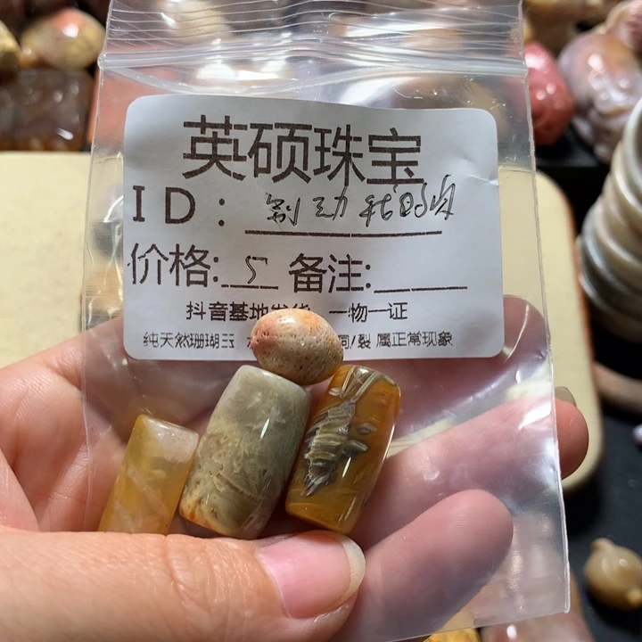 硅化珊瑚（珊瑚玉）颈饰9K金镶嵌别***肉