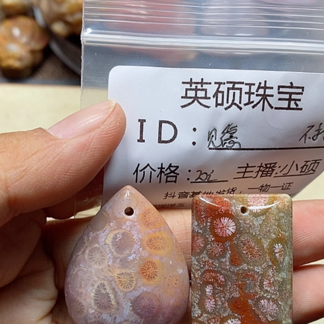 【闪购商品】硅化珊瑚（珊瑚玉）颈饰未镶嵌见*