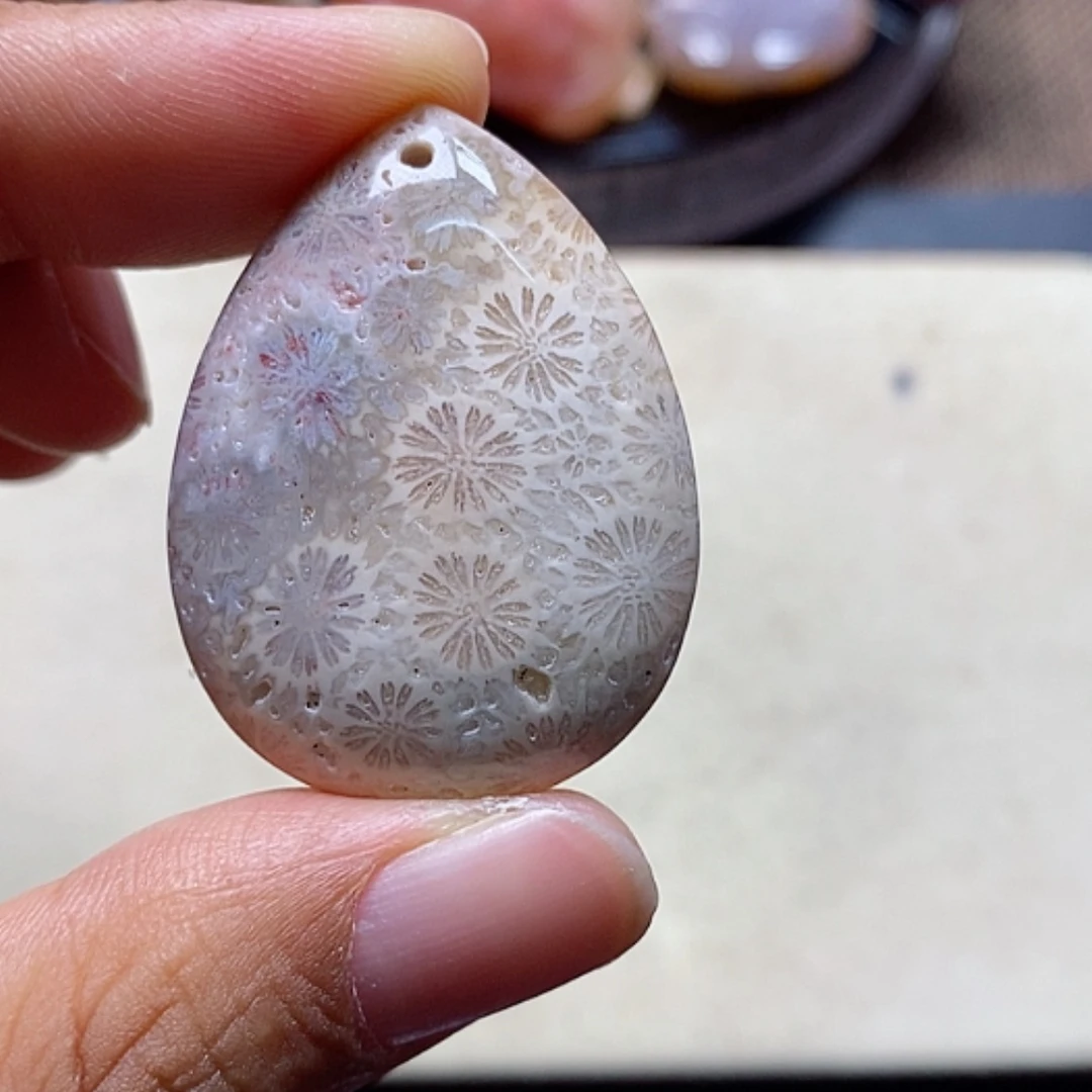 【闪购商品】硅化珊瑚（珊瑚玉）颈饰未镶嵌见*