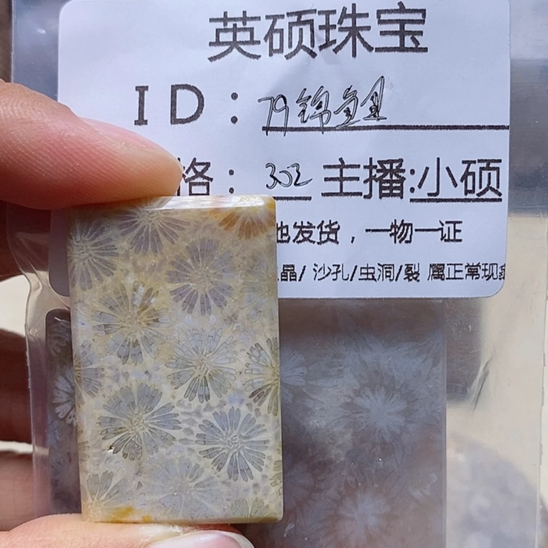 【闪购商品】硅化珊瑚（珊瑚玉）颈饰未镶嵌?****?