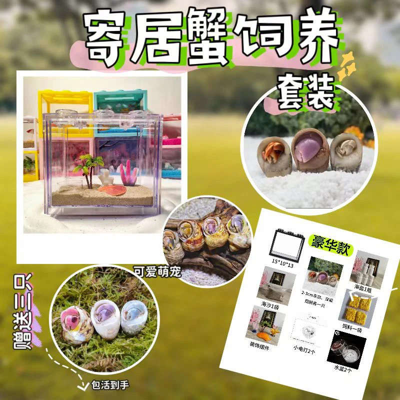 寄居蟹新手饲养套盒积木缸一整套桌面宠物可爱儿童礼物