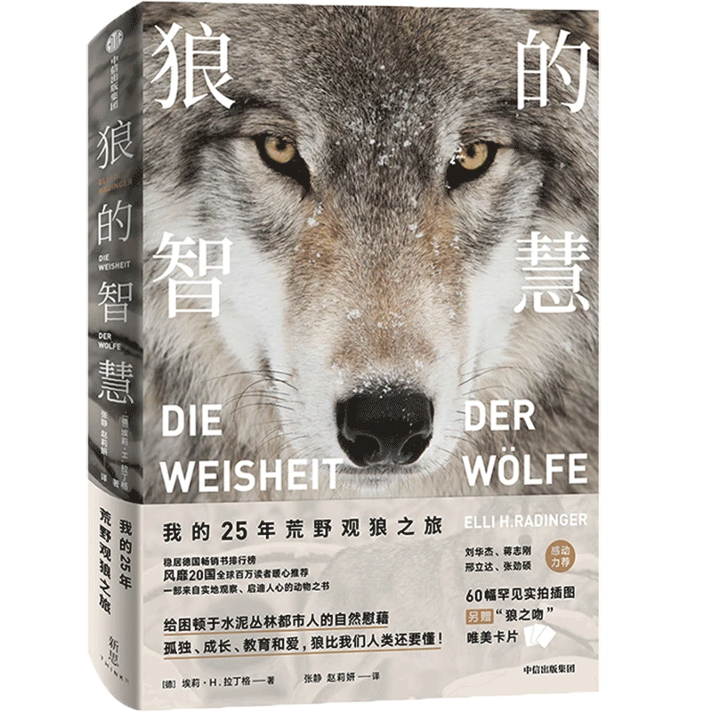 樊登推荐 狼的智慧 埃莉H拉丁格著 动物智慧 进化论 狼性 适应