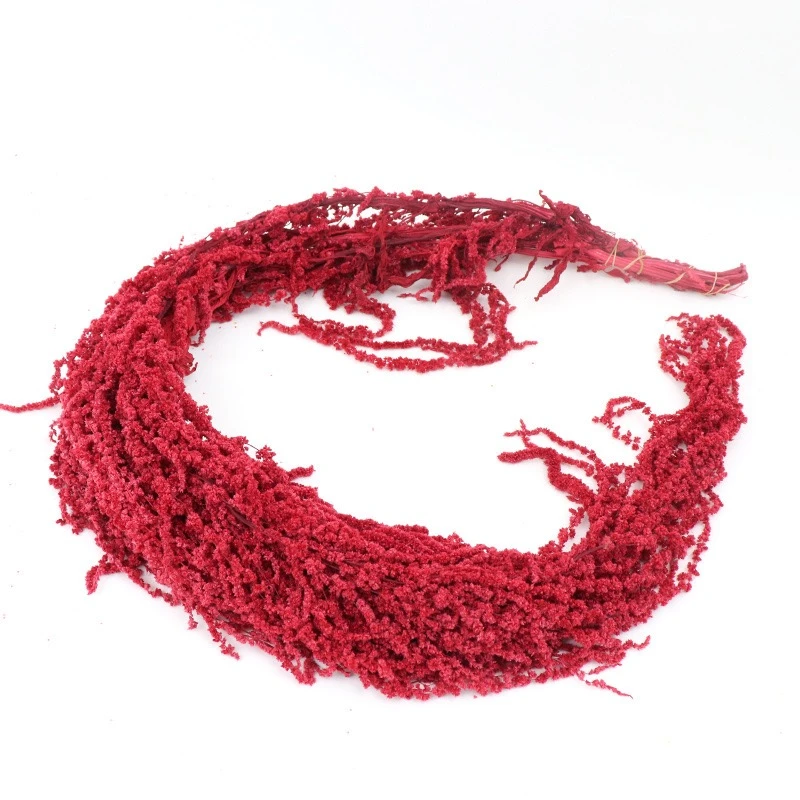 【1帮1】柔丽丝蓬莱松永生花鲜花束年宵花必备包装材料花店diy