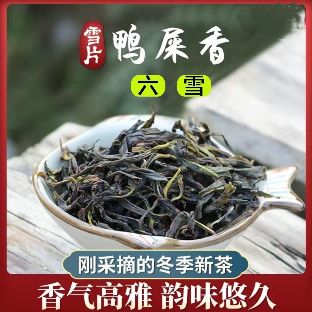 2023年【六雪鸭屎香】中熟型冬季香凤凰单丛茶潮州单枞茶叶