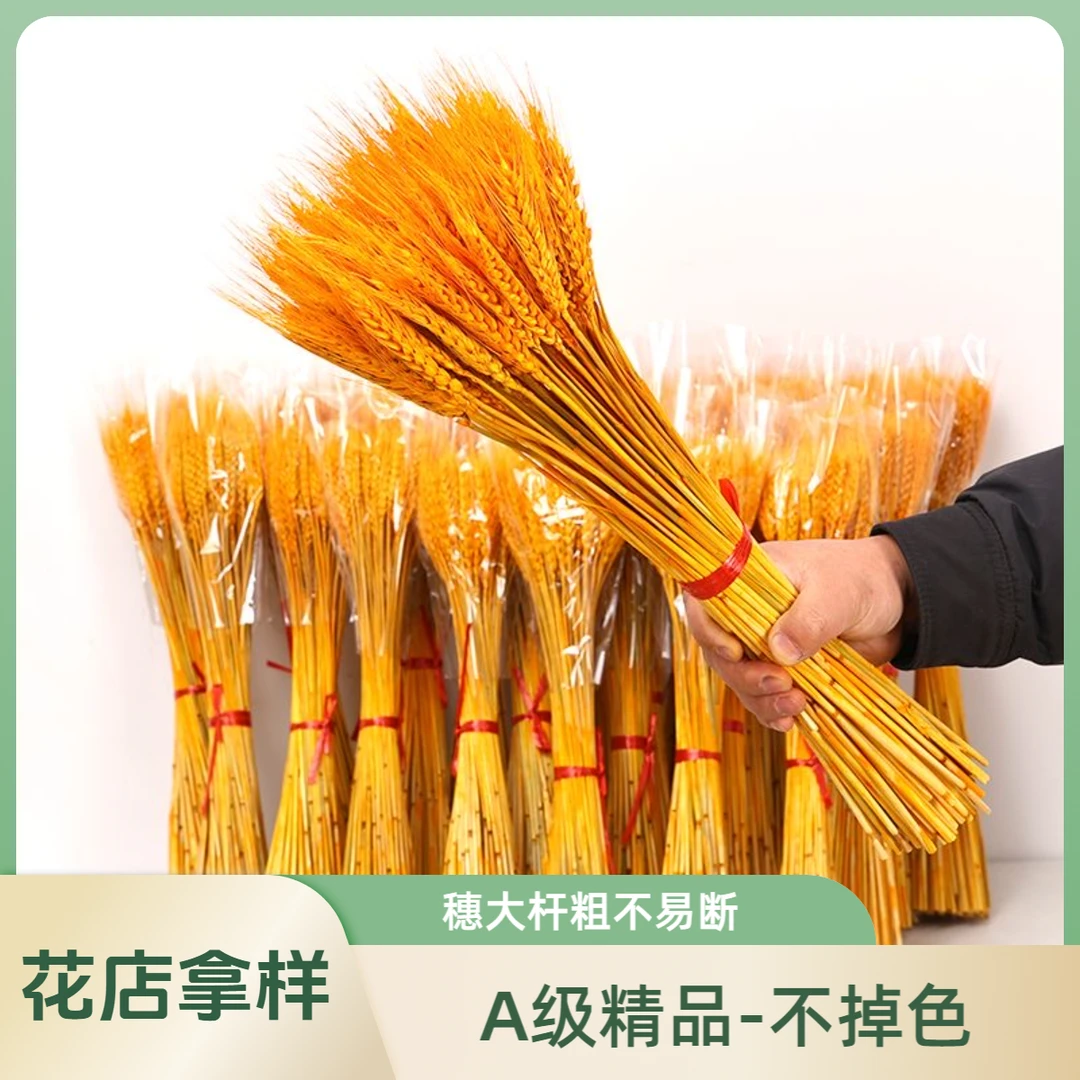 【花店拿样】天然黄金麦穗风干花店花篮干花开业婚庆家居客厅装饰品