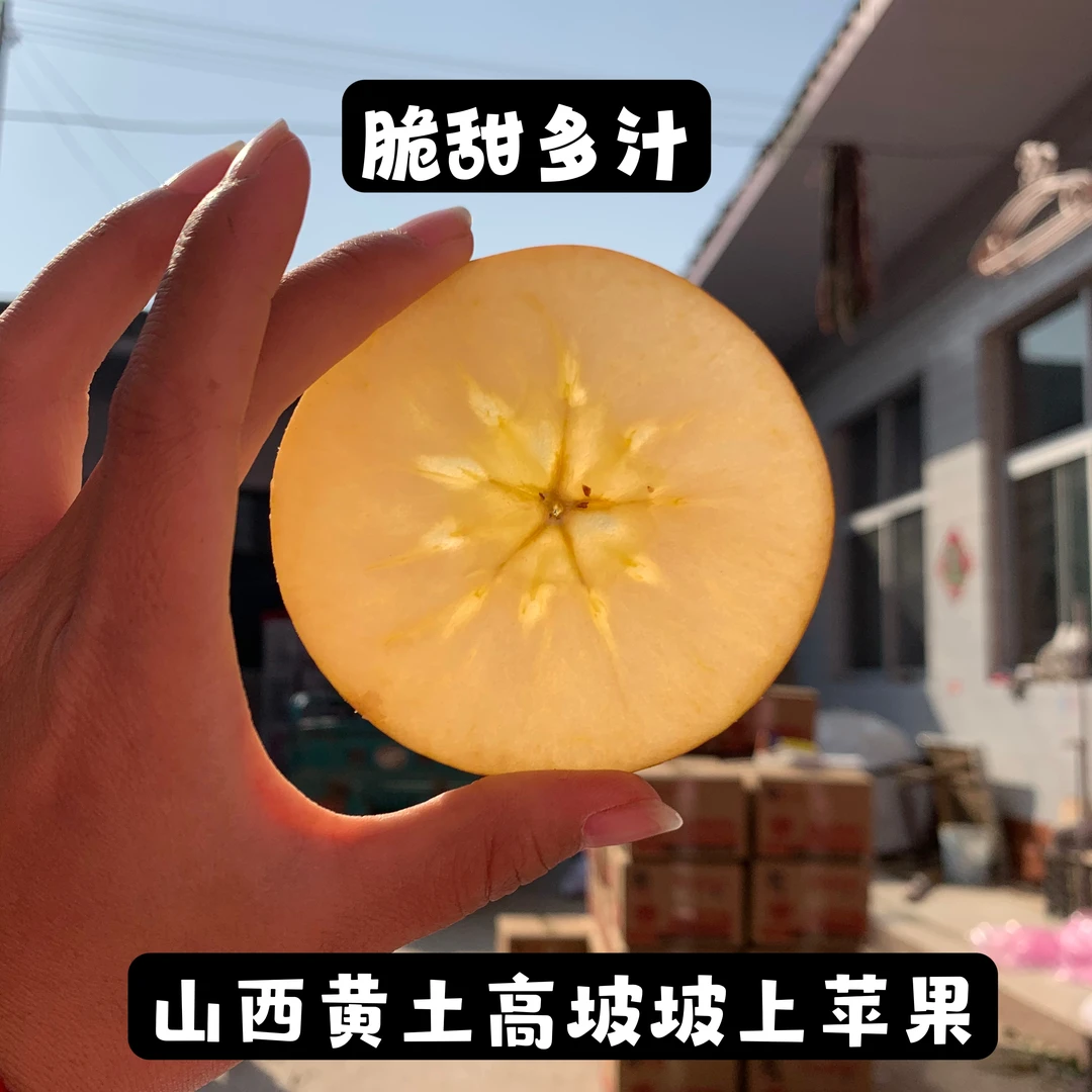 【自产自销】山西万荣红富士 新鲜采摘丑苹果 脆甜多汁 泡沫装10斤