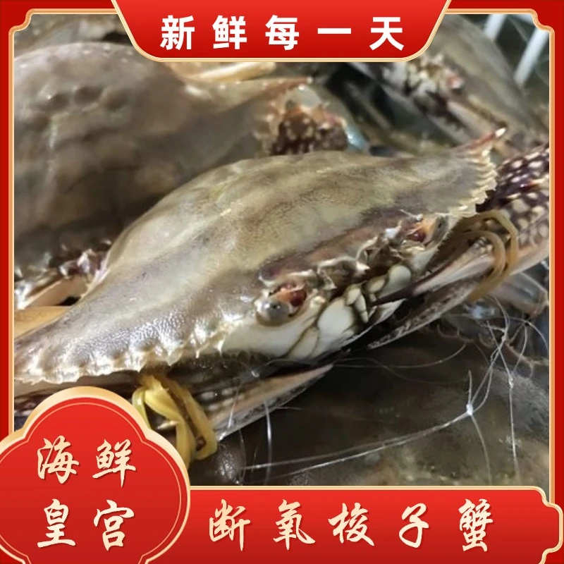 【保鲜不保活】 断氧梭子蟹  残蟹（每只3-7两）3-6斤