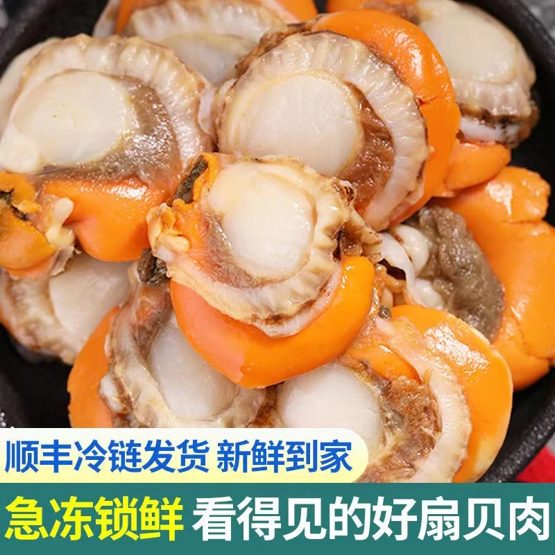 鲜冻北城红贝大号带黄扇贝肉200g*10包净重无冰