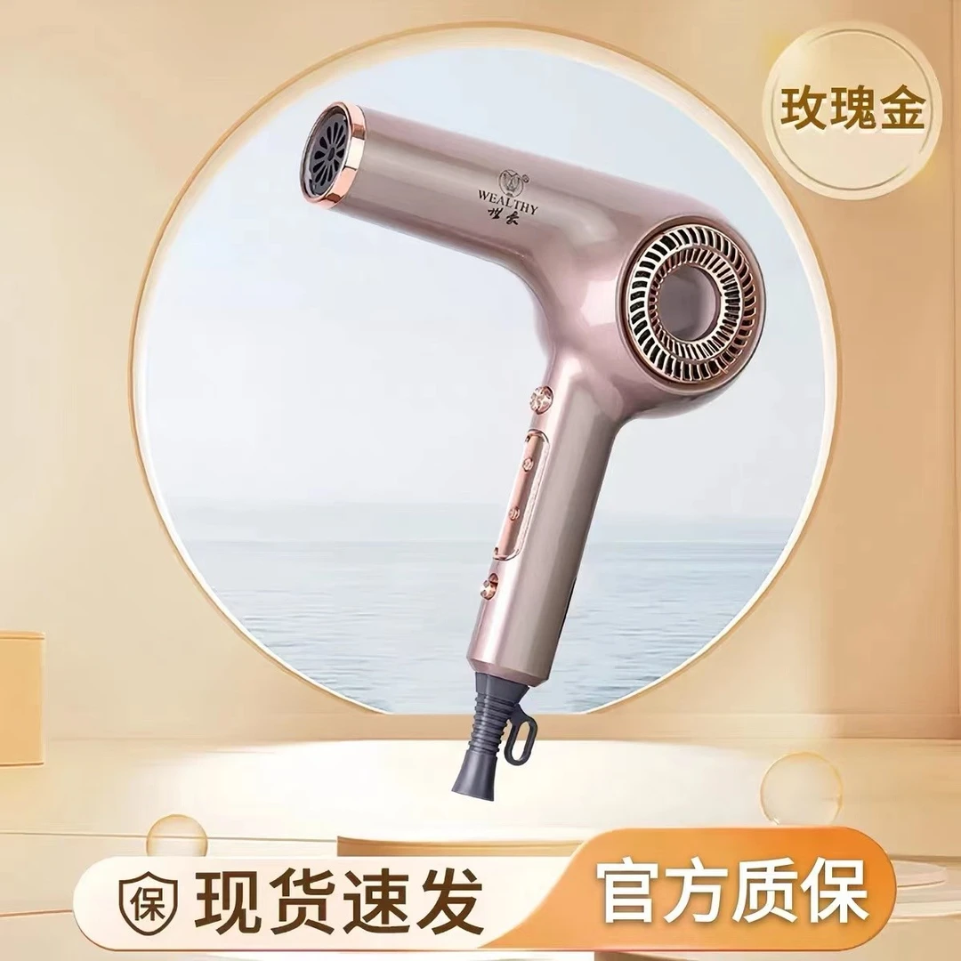 世豪R500吹风机低噪速干大功率风力负离子造型护发吹风机理发店