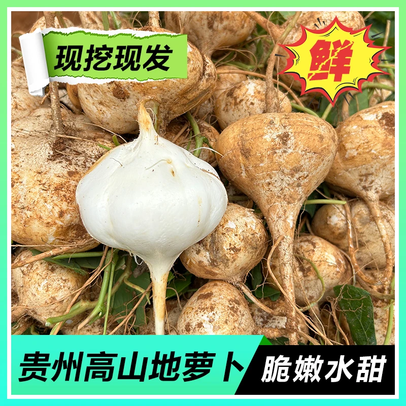 贵州正宗凉薯地瓜新鲜采摘白瓜土瓜3/5斤豆薯沙葛地萝卜绿色生吃
