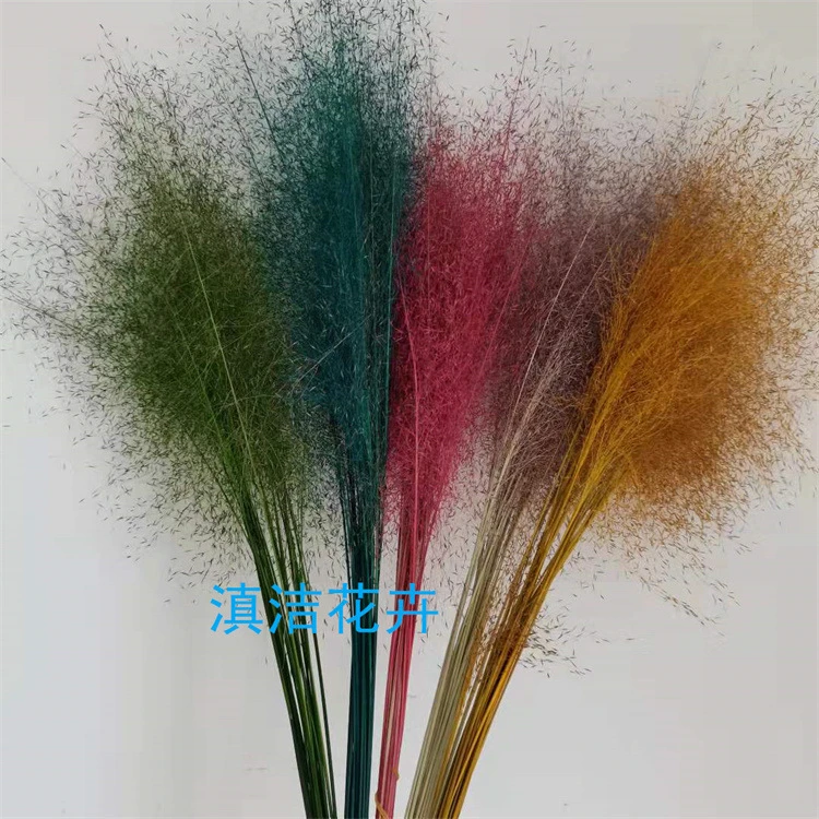 粉黛乱子草家居装饰拍摄道具瓶插花一束20支