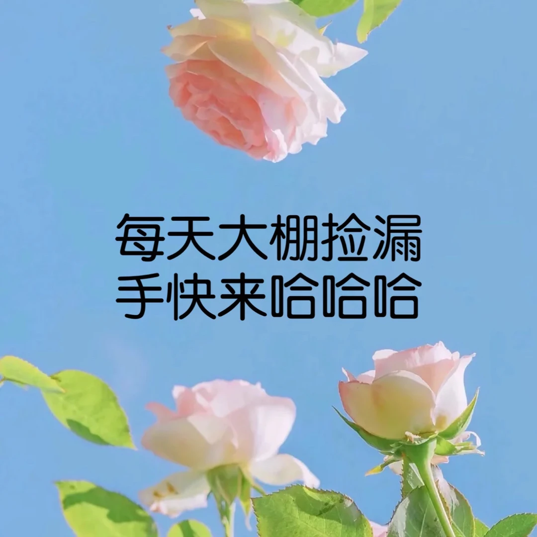 每天捡漏样品苗四季庭院灌木新手可以月季