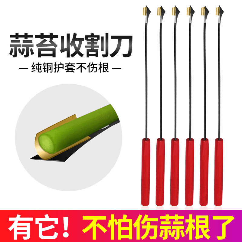 【拍1发5】抽蒜苔剥蒜苔神器锋利快速省力抜剔蒜薹提摘蒜苔收割刀