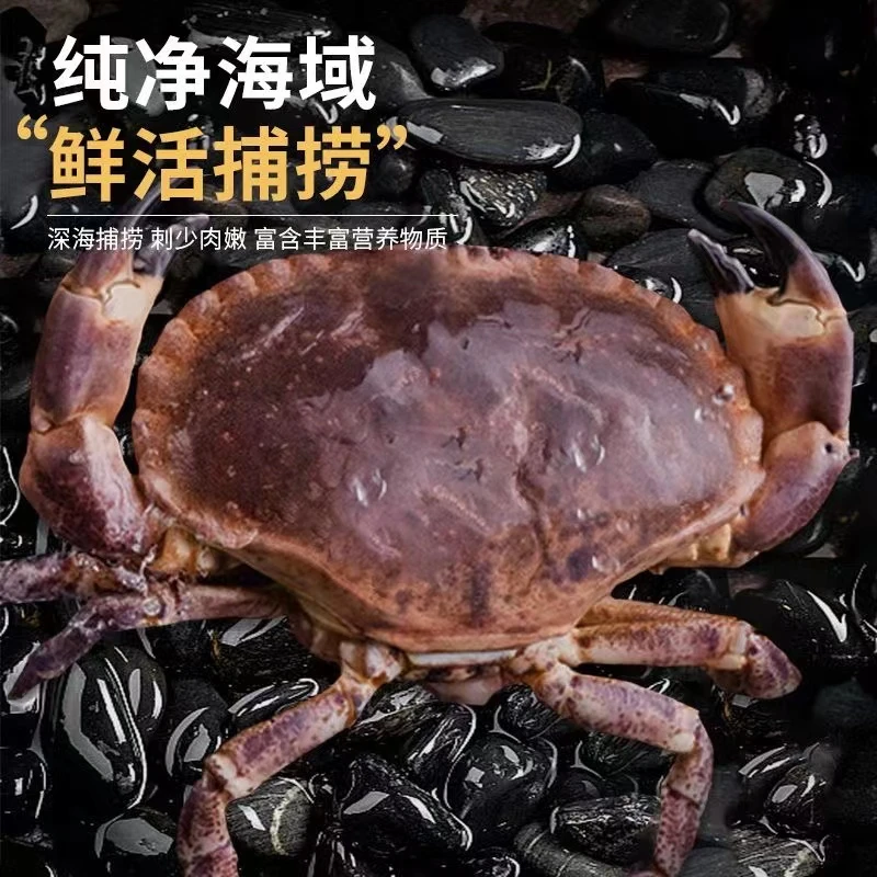 面包蟹1只