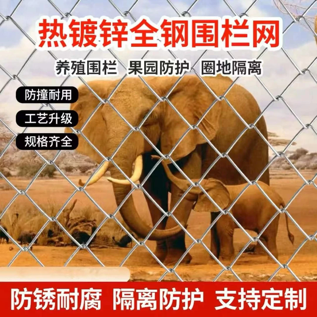 镀锌铁丝网养殖猪牛羊钢丝网护栏防护网围栏网鱼塘围网菱形勾花网