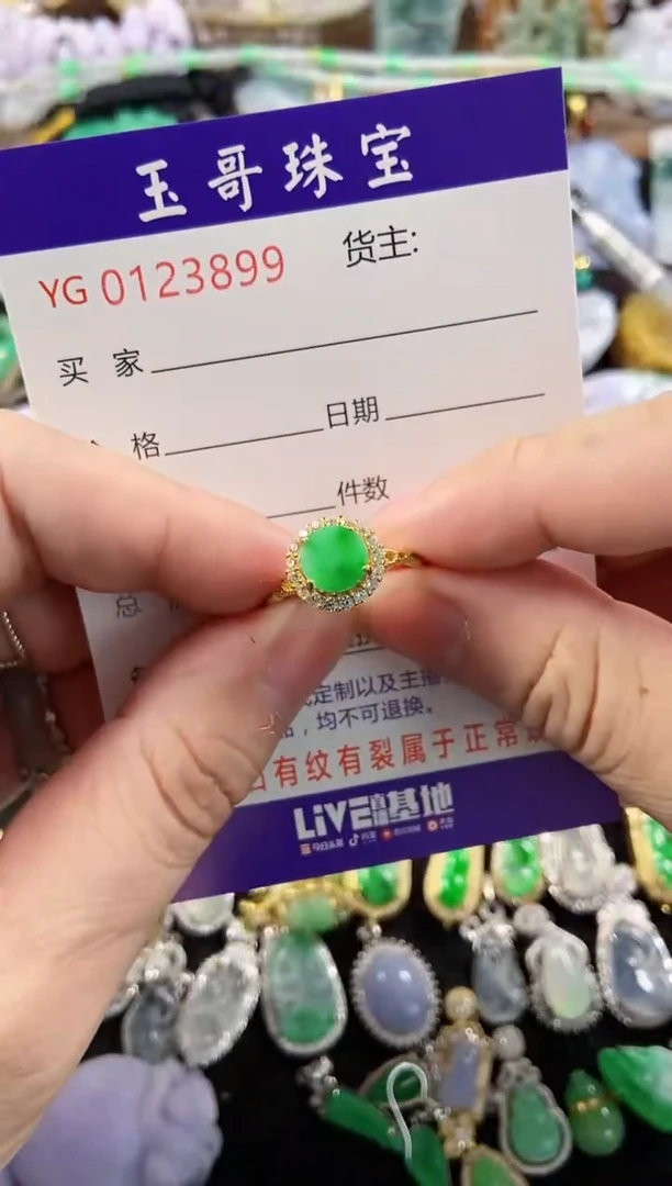 【闪购商品】翡翠颈饰未镶嵌1