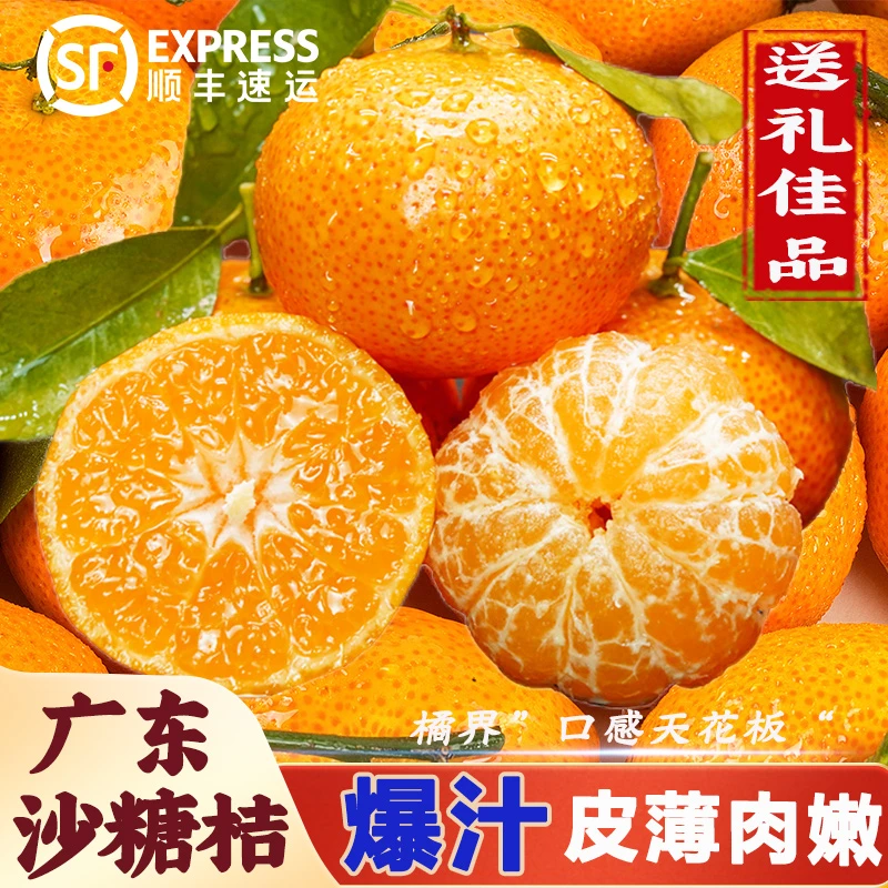正宗砂糖橘广东砂糖桔子新鲜当季水果现摘现发纯甜橘子顺丰包邮
