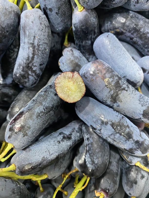 (软的掉粒均没有售后)美人指黑提，1.5斤起，辽宁